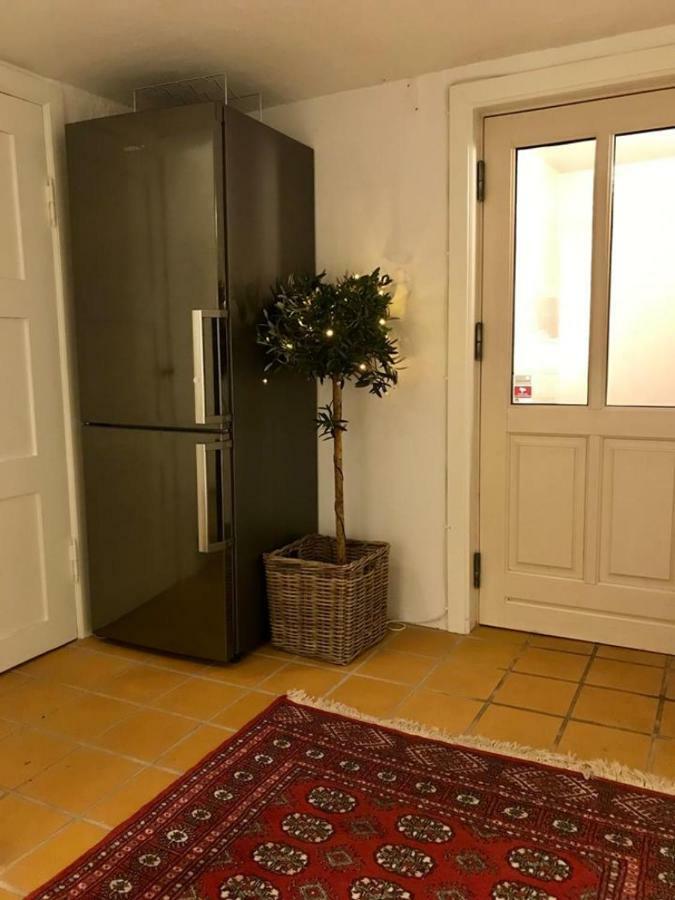 Special Offer,One Of Its Kind, Extremely Central In Herning, Danish Hosts, Extremely Clean, Very Quiet Street But A Stonethrough From Bars & Restaurants Apartment Bagian luar foto